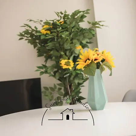 Sunflower * Braga