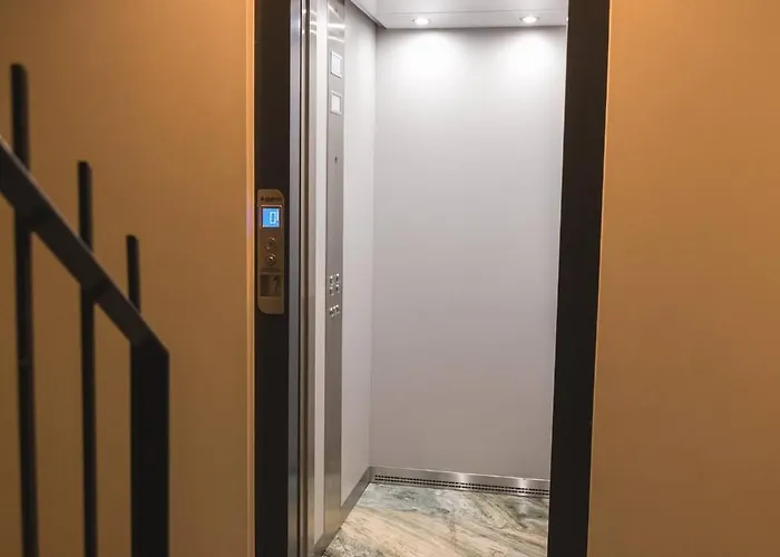 Sunflower * 布拉加