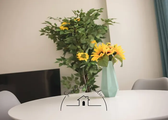 Sunflower * 布拉加