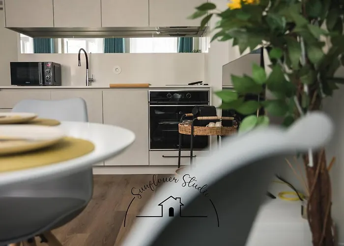 Sunflower * 布拉加