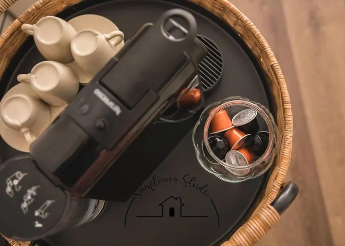 Sunflower * 布拉加